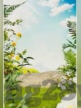 探求足球比分-探求足球比分背后的奥秘，一场数据与激情的交响曲